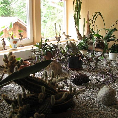 Asmonienes Sveciu Namai "Senoji Mokyklele" Hotel Smalininkai Bagian luar foto